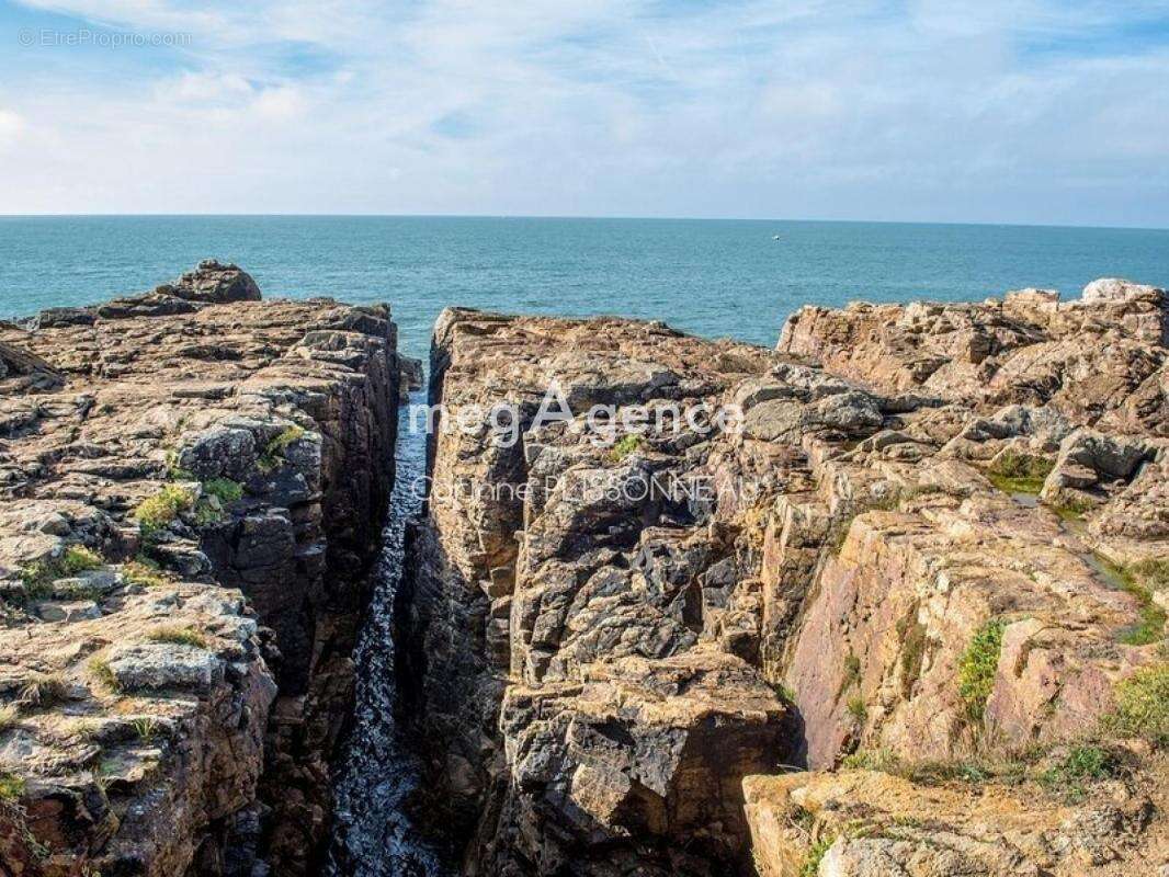 Terrain à LES SABLES-D&#039;OLONNE