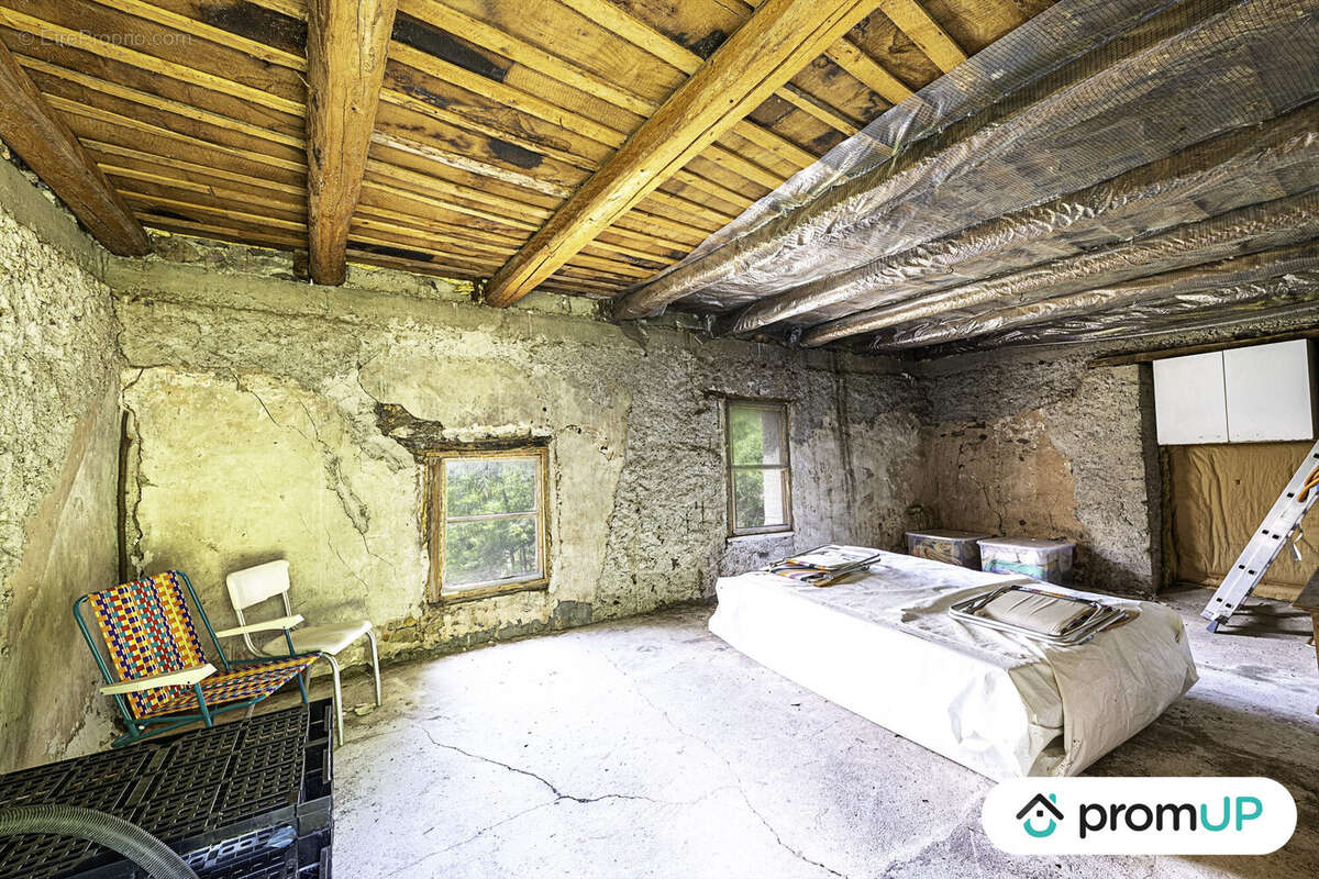 Terrain à BELVEDERE