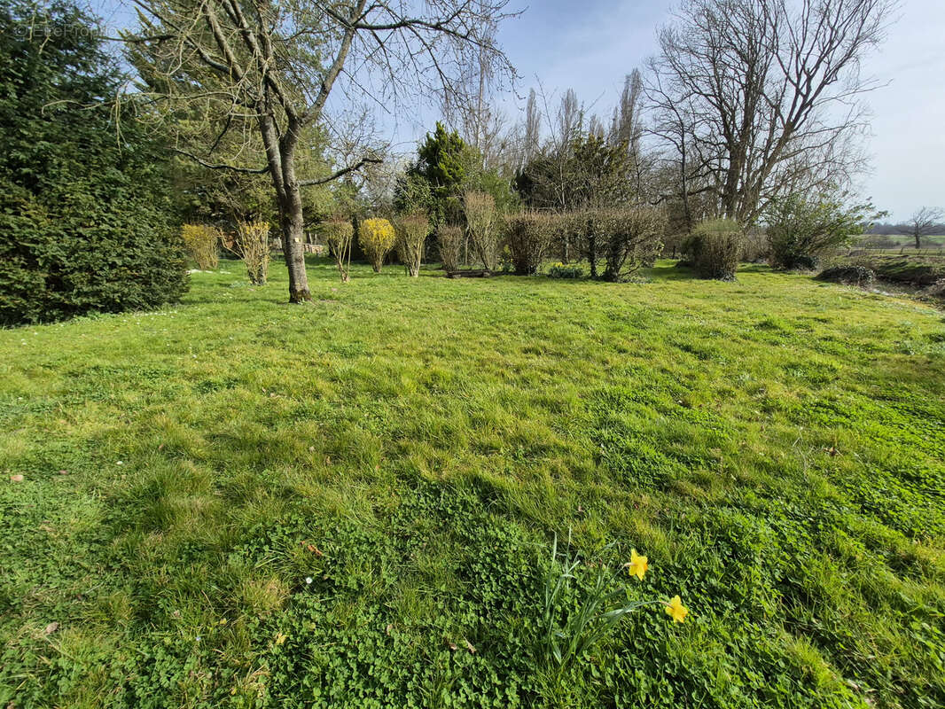 Maison à ROZAY-EN-BRIE