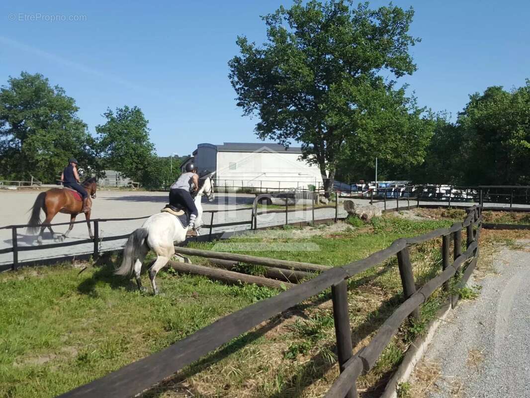Commerce à MONTAUROUX
