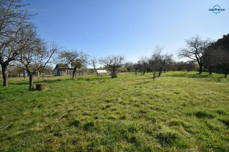 Maison à CHOUZY-SUR-CISSE
