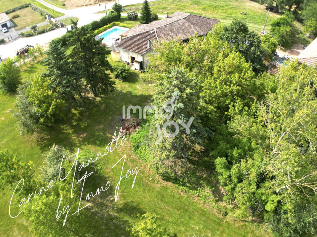 Elégante Toulousaine de caractère- 362 m2 habitable- Terrain arboré de 12 500 m2-Piscine - photo 8