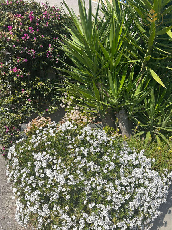 Appartement à ROQUEBRUNE-CAP-MARTIN