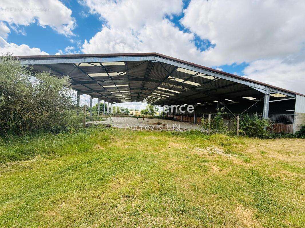 Belle propriété au calme avec terrain, piscine et box équestre - photo 4