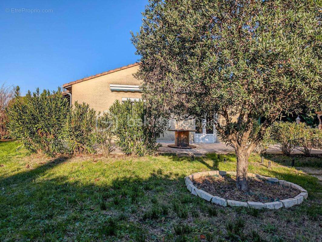 Maison à MONTELIMAR