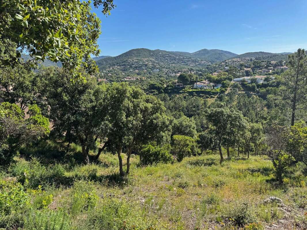 Terrain à LA LONDE-LES-MAURES