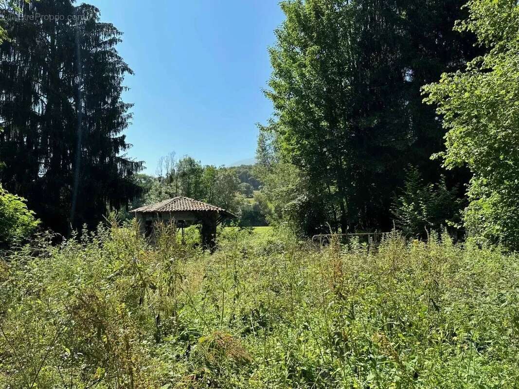 Maison à SAINT-LAURENT-DE-NESTE