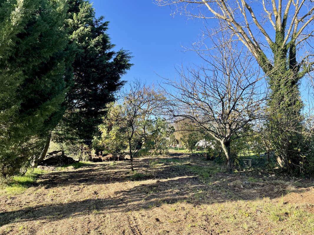 Maison à SAINT-SAVINIEN