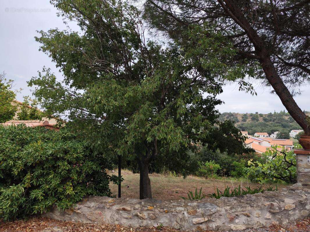 Terrain constructible avec vue sur les Albères - photo 5