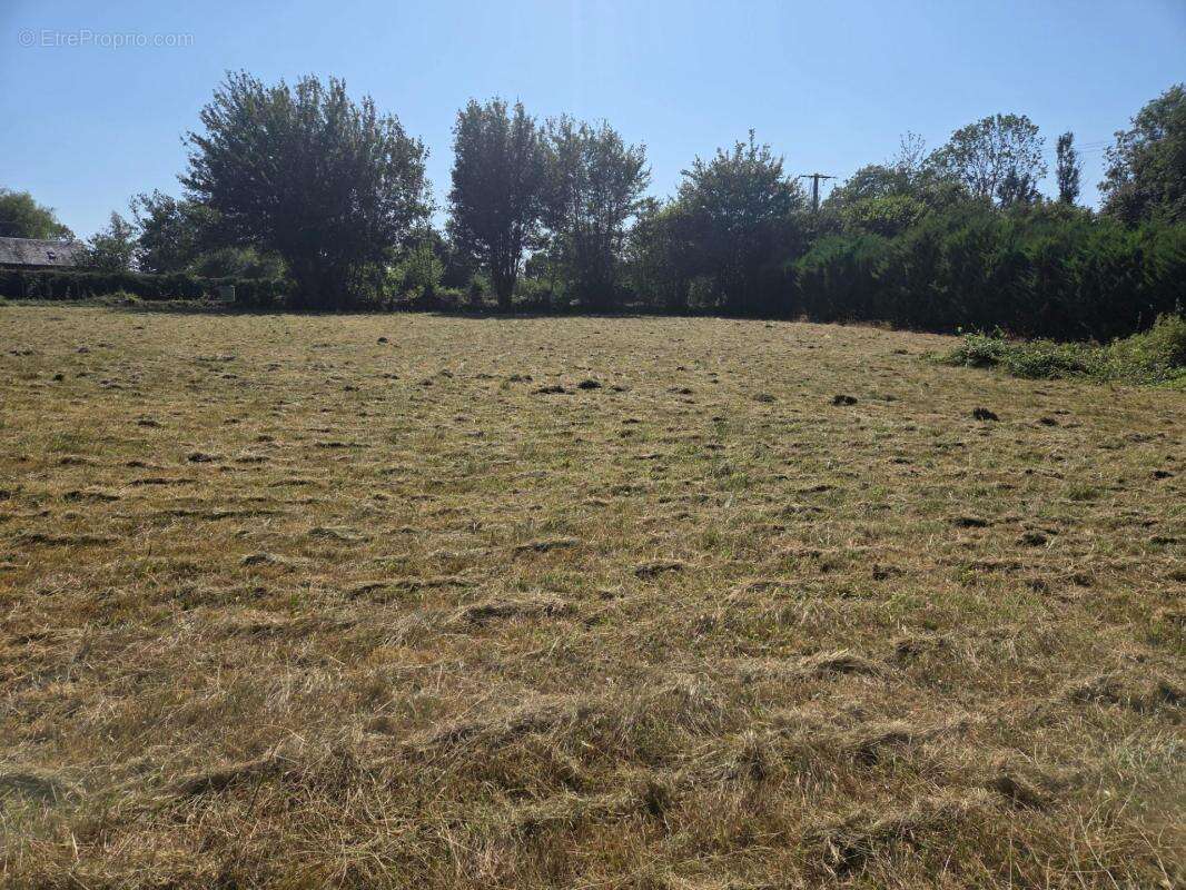Terrain constructible à vendre 3211 M2 BONNEVILLE LA LOUVET (14) - photo 6