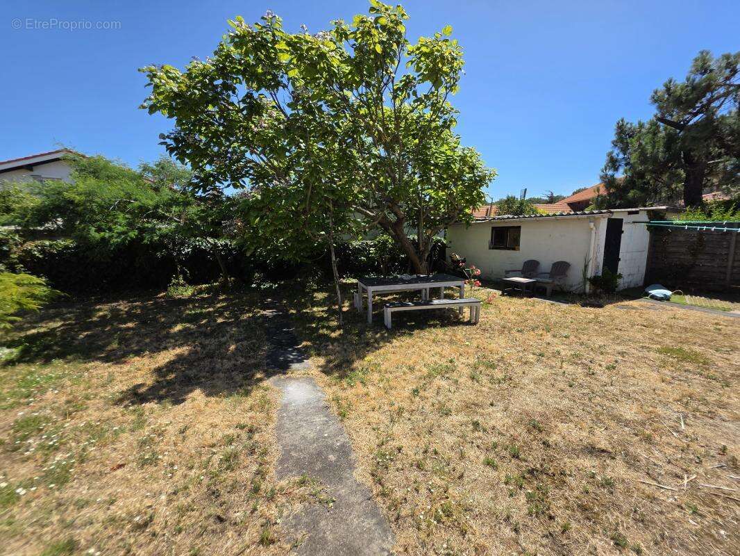 Maison 219 m² à Biscarrosse  - photo 6