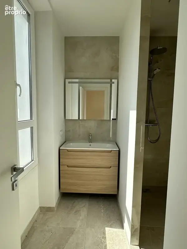 Magnifique appartement rénové avec terrasse et grenier - photo 13