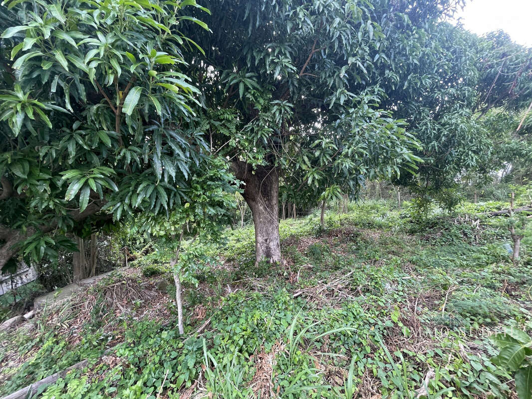 Terrain à GOURBEYRE