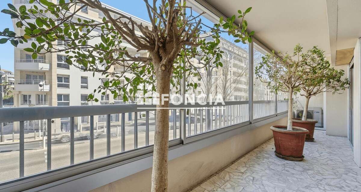 Commerce à CANNES