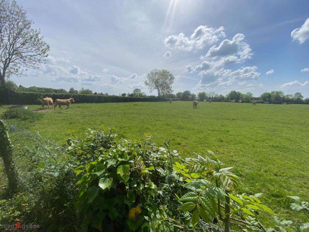 Maison à VIMOUTIERS