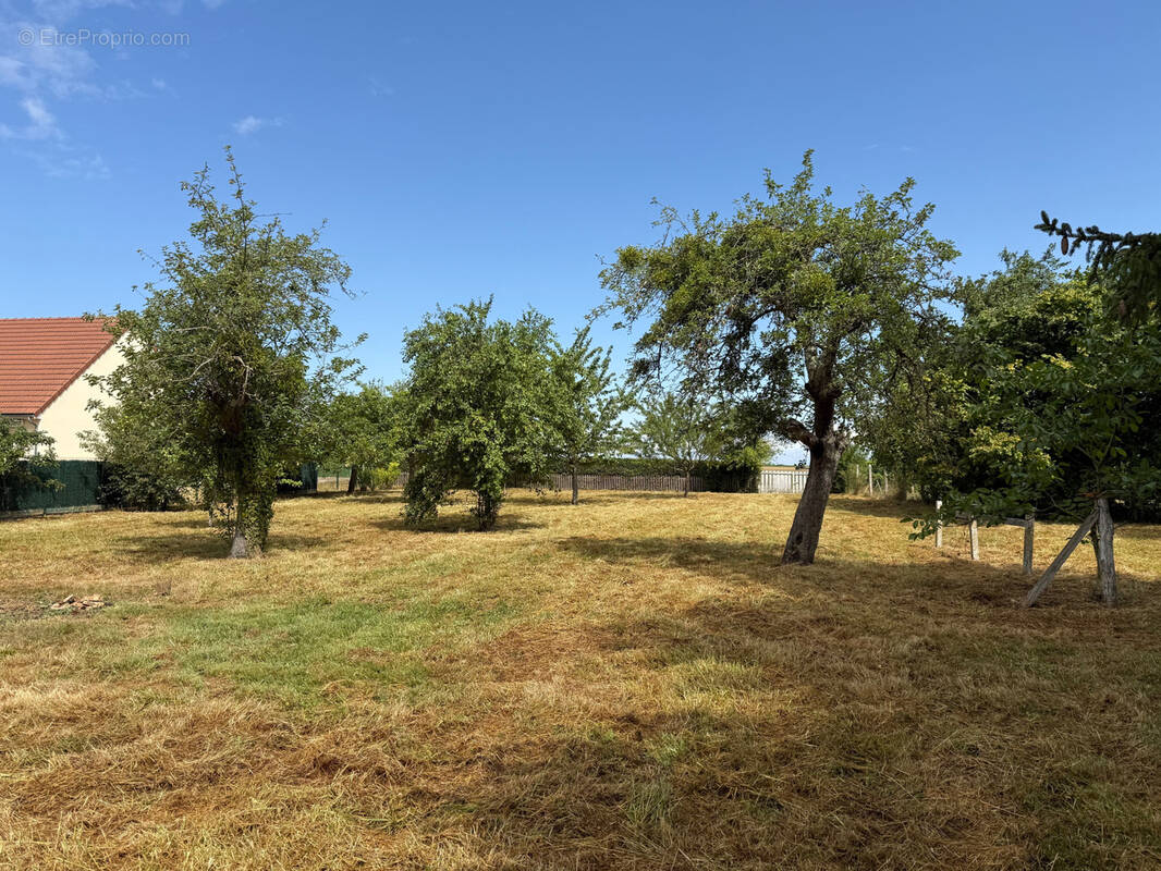 Terrain à VILLY-LE-MARECHAL