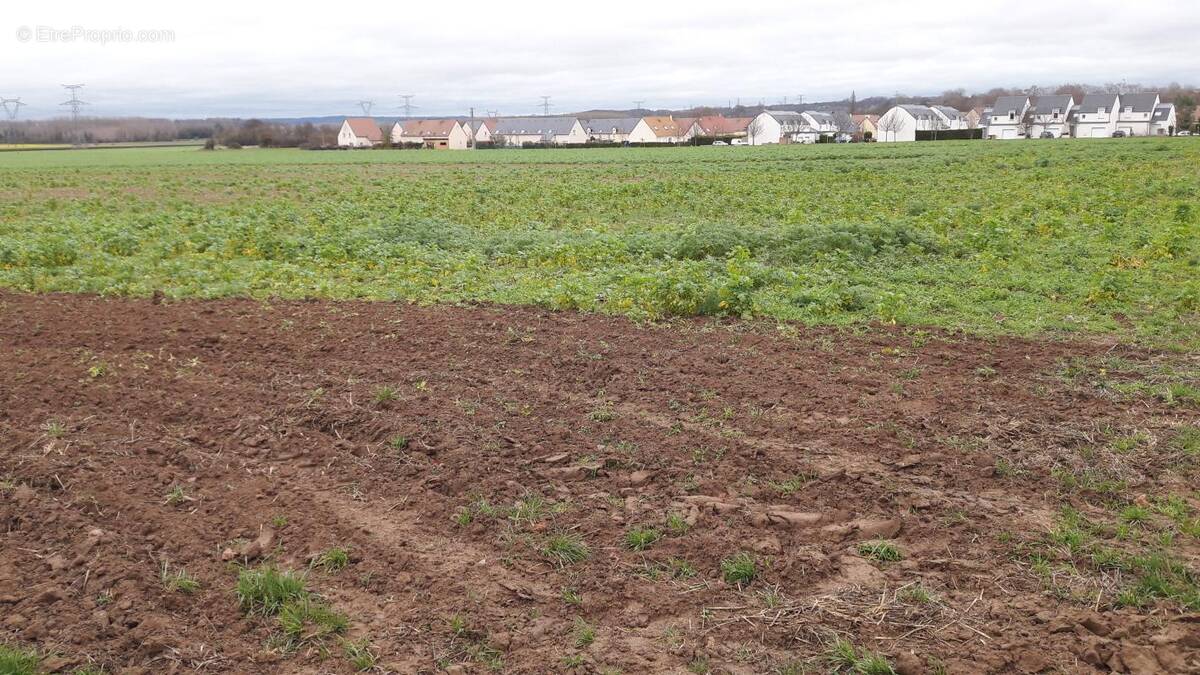 Terrain à BRETTEVILLE-L&#039;ORGUEILLEUSE