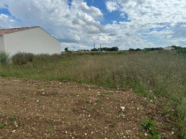 Terrain à LE THOU