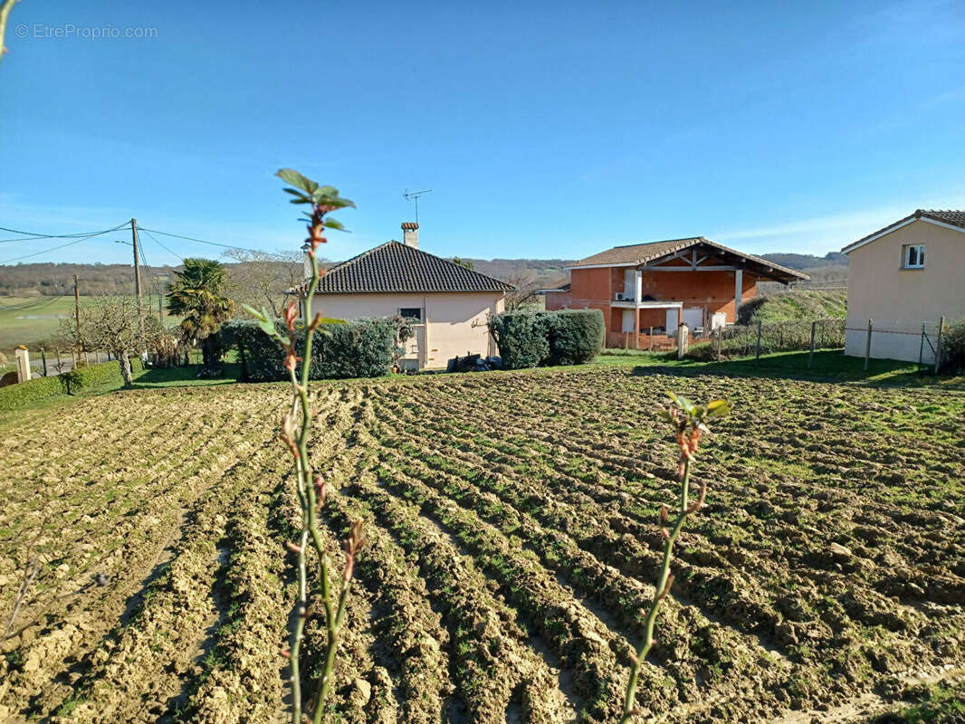 Terrain à SAINT-PAUL-SUR-SAVE