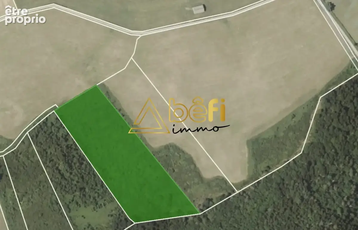 Terrain 20 200 m² à vendre à Messeix (63750) - photo 4