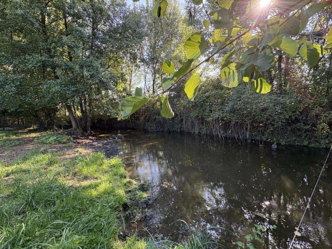 Terrain à NEUILLAY-LES-BOIS