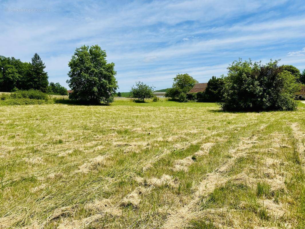Terrain à SAVIGNAC-LES-EGLISES