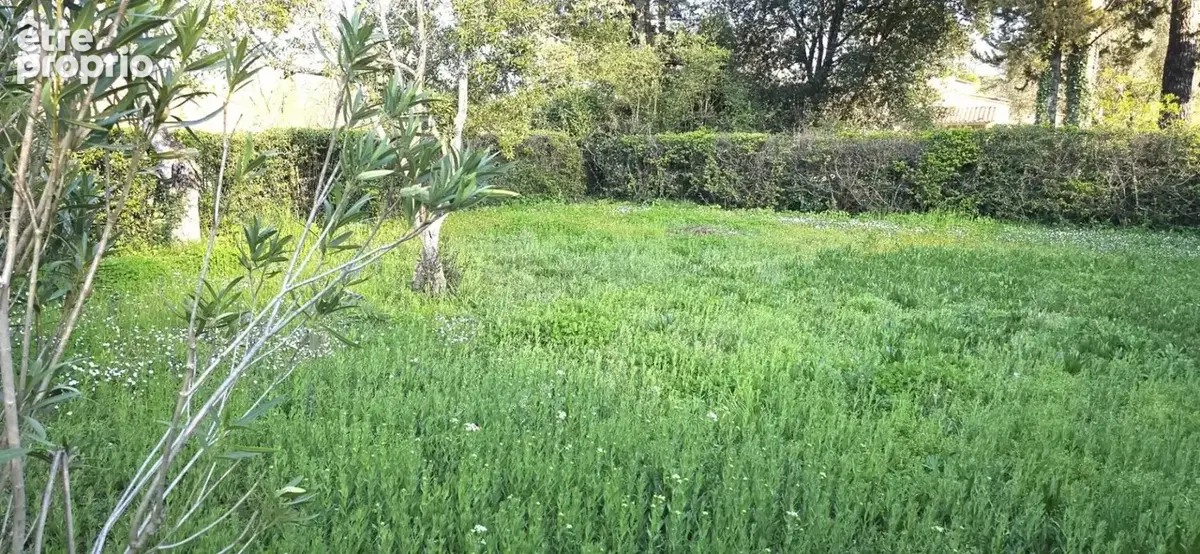 Villa T4 de 93 m2 avec annexes et piscine sur 2229 m2 de terrain - photo 16