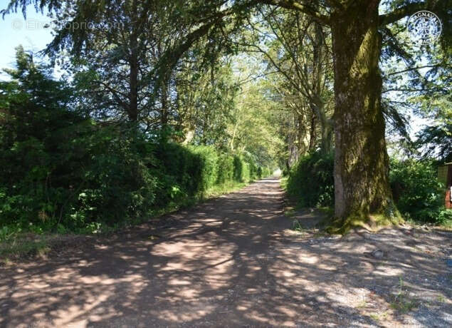 Domaine de caractère   projet gîtes & agritourisme   40 ha - photo 20