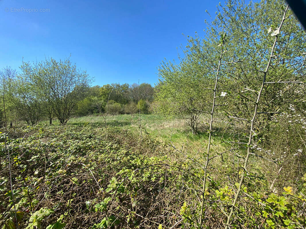 Terrain à TOURNEVILLE