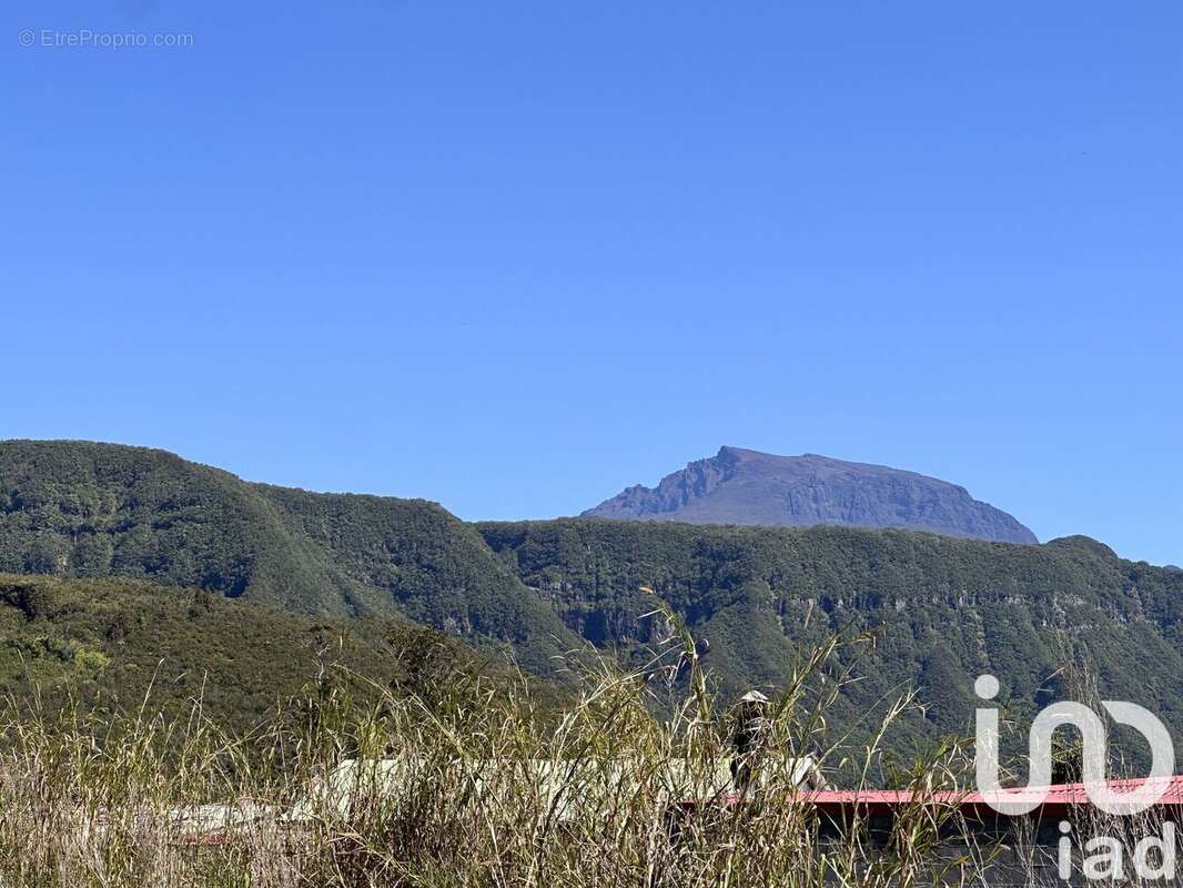 Photo 4 - Terrain à LA PLAINE-DES-PALMISTES
