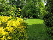 Terrain à SAINT-GERMAIN-EN-LAYE