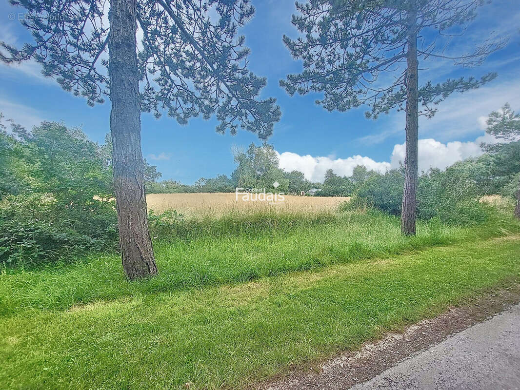 Maison 91 m² à Hauteville-Sur-Mer  - photo 5
