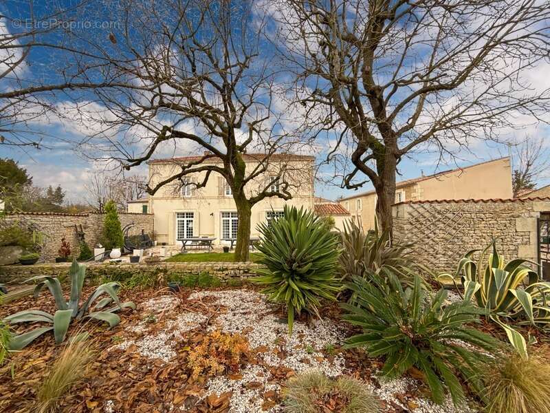Maison à SAINT-SAUVEUR-D'AUNIS