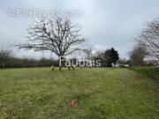 Terrain à LE MESNIL-RAOULT