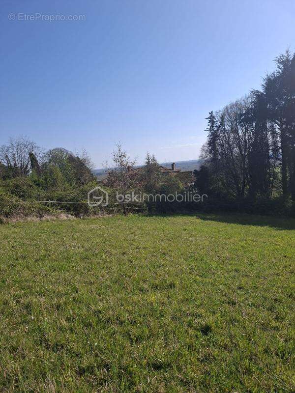 Propriété à rénover – plus de 200 m² – 6 hectares - photo 7