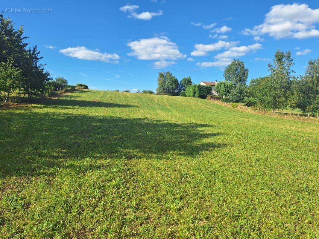 Terrain à LA DORNAC