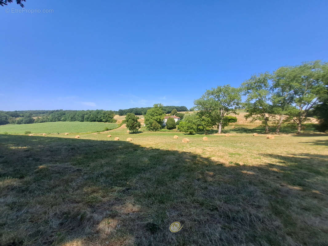 Maison de caractère en campagne sur 3 hectares avec son étang ! - photo 15