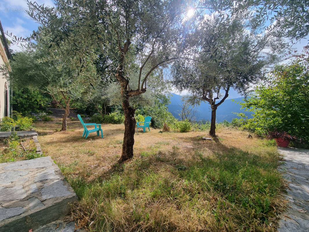 Maison à MOITA