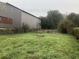 Batiment commercial avec terrain - photo 3