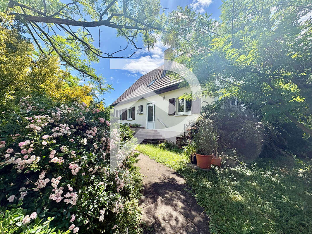 Maison Reguisheim 6 pièce(s) 187.94 m2 - photo 2