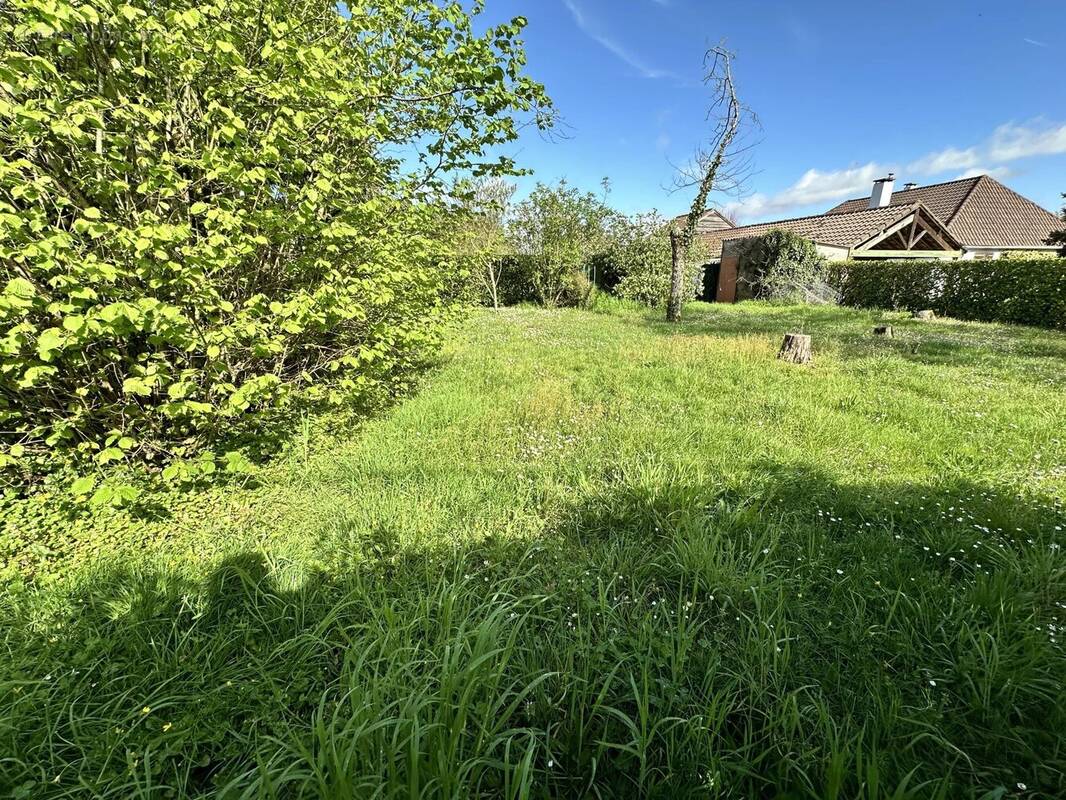 Terrain à LE BIGNON