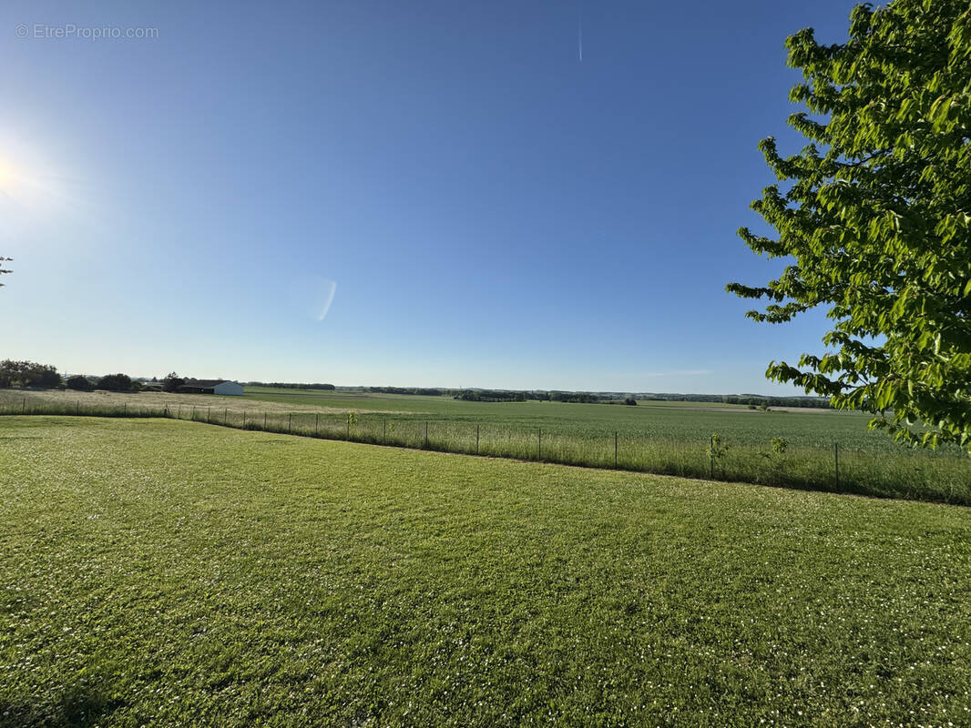 Terrain à BARBEZIEUX-SAINT-HILAIRE