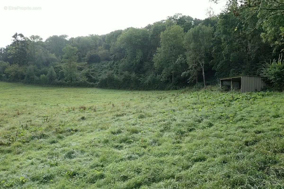 Maison à SAINT-PIERRE-SUR-DIVES