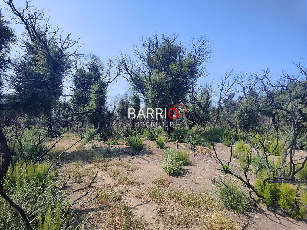 Terrain à SAINT-ANDRE