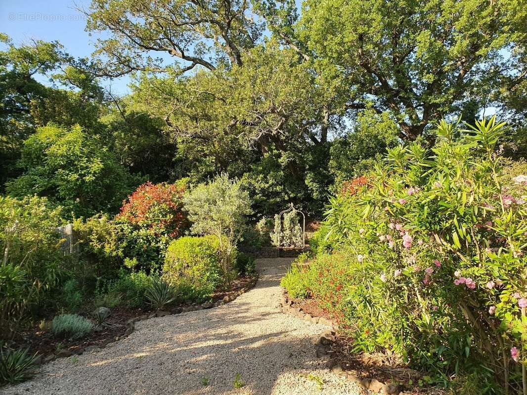 Maison à LEZIGNAN-LA-CEBE