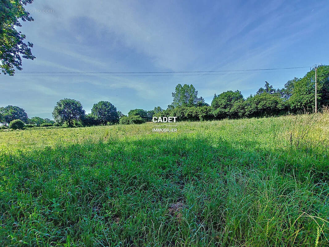 Terrain à LA HAYE-PESNEL