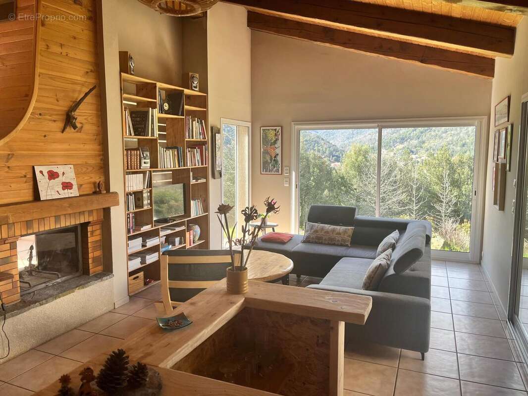 Photo 3 - Maison à ARLES-SUR-TECH