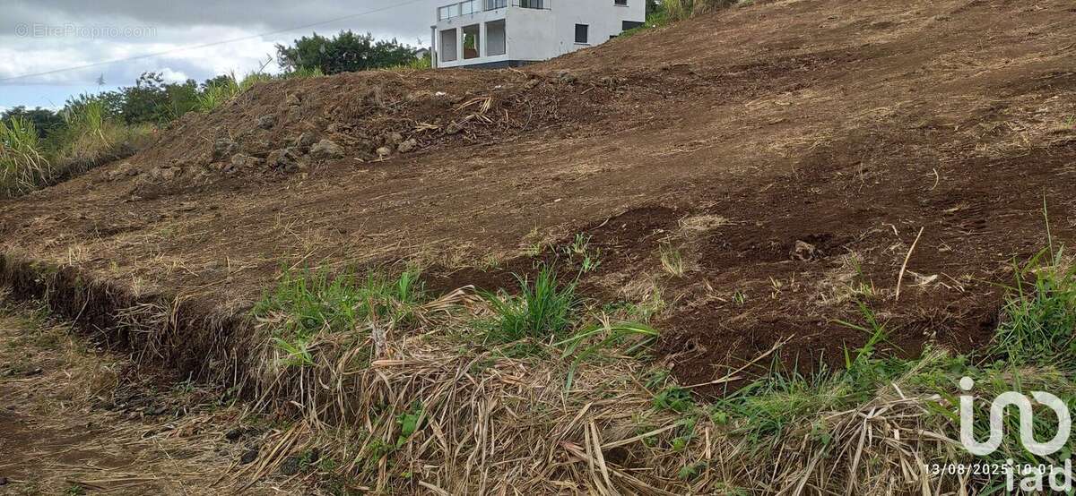 Photo 3 - Terrain à SAINT-PAUL