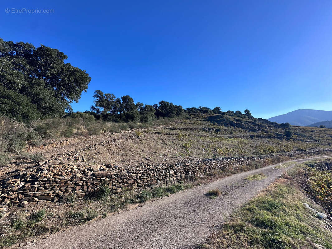 Terrain à COLLIOURE