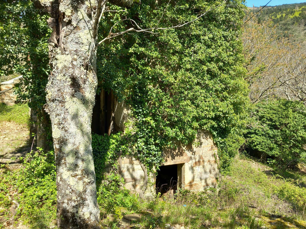 Unique ! ancienne Ferme à rénover sur 15Ha de patures et bois . - photo 19